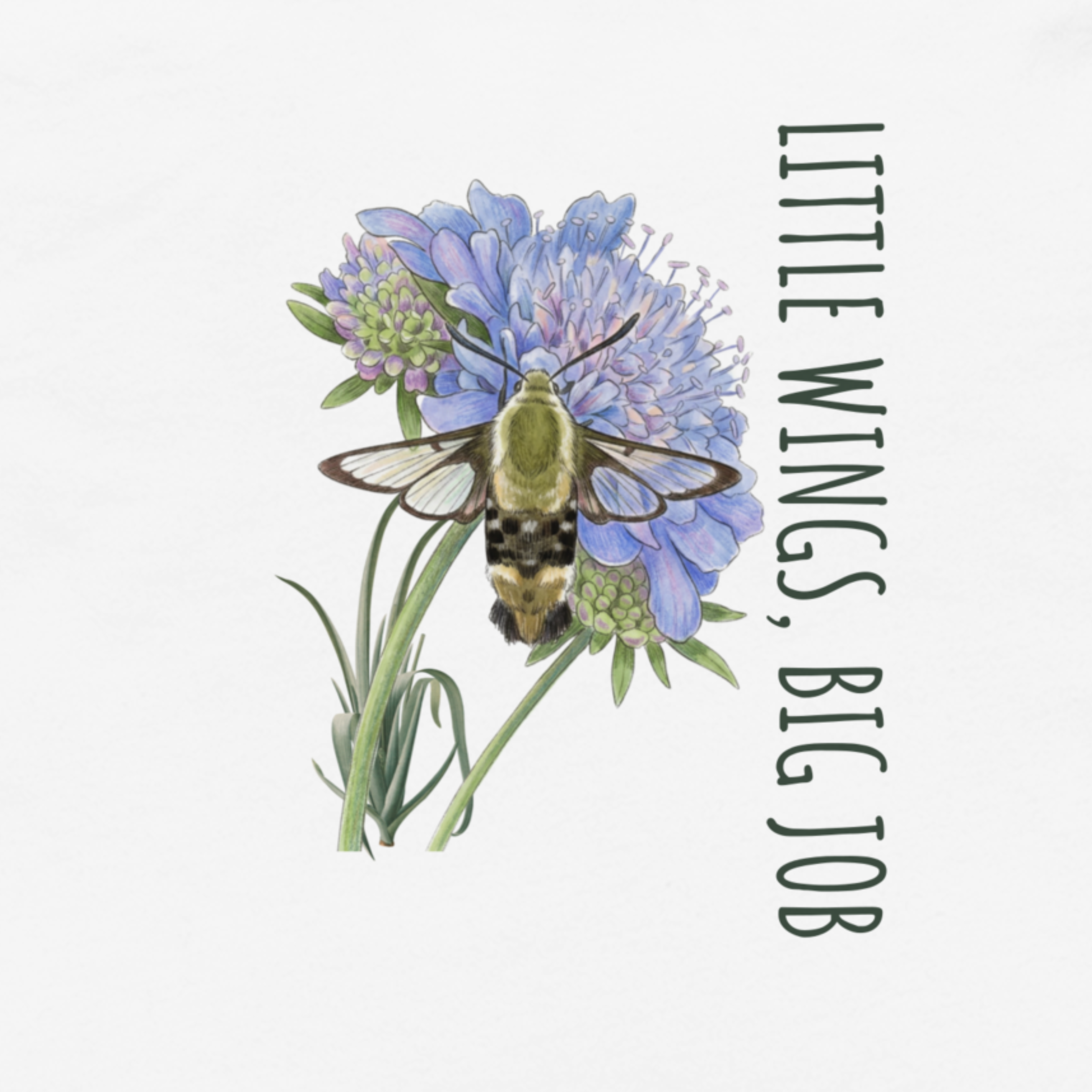 Little Wings Big Job Hummingbird Moth Toddler Tee - The Nectar Quest