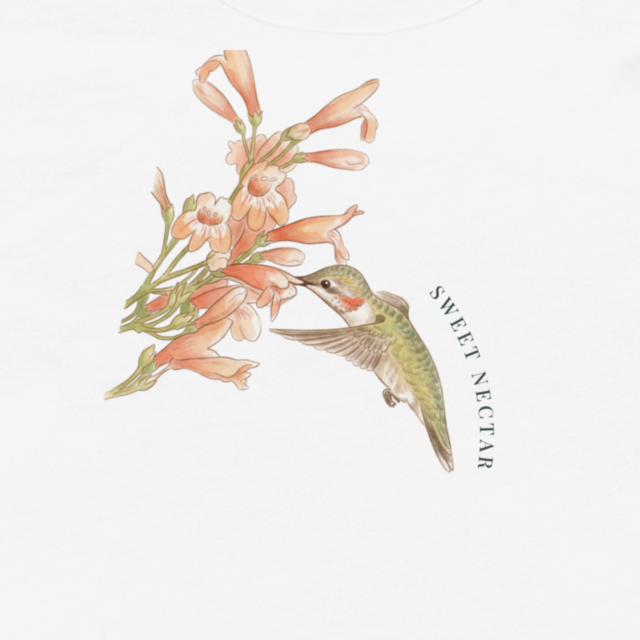 Sweet Nectar Hummingbird Toddler Tee - The Nectar Quest